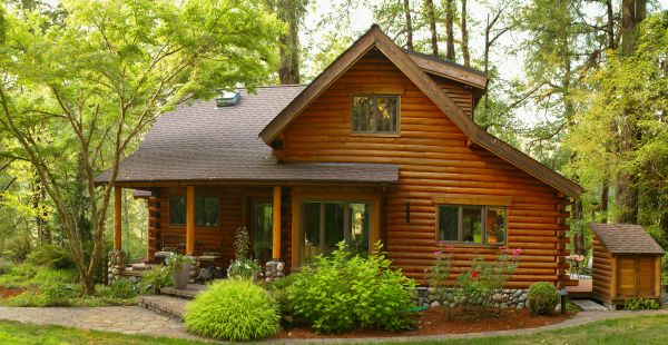 Cabin Restoration - Cabin Restoration Wasilla, Alaska