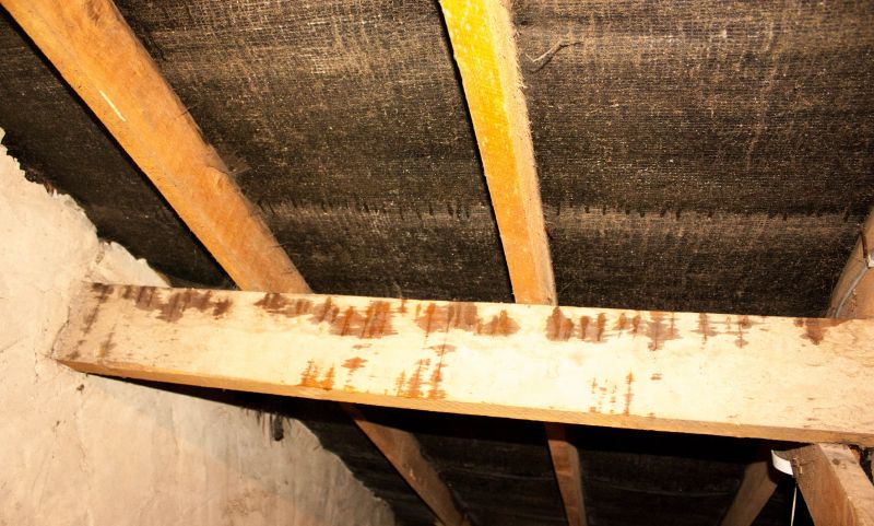 House Restoration in Santa Rosa, CA