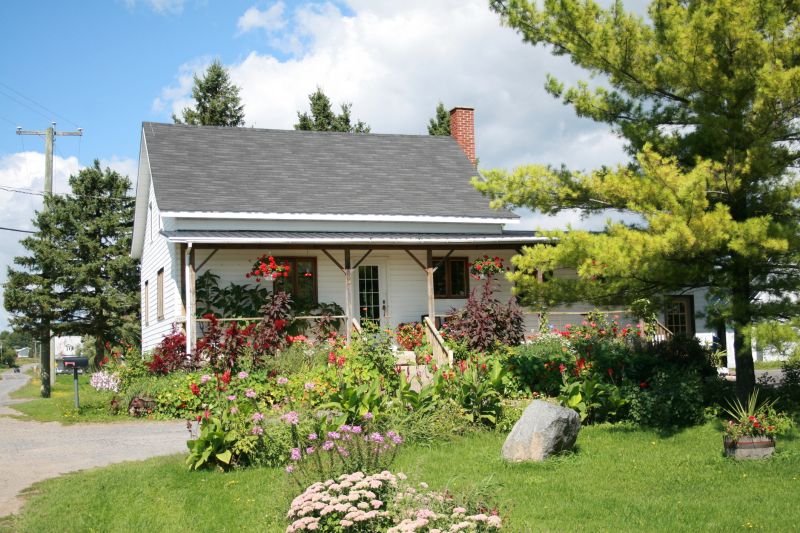 Log House Improvement